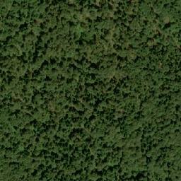 Satellite imagery of Javorovo Bilo, HR