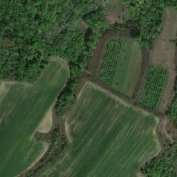 Satellite imagery of Bučija, BA