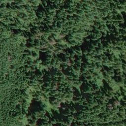 Satellite imagery of Pea Ridge, US