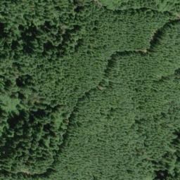 Satellite imagery of Pea Ridge, US