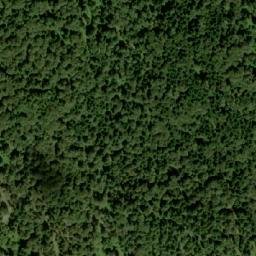 Satellite imagery of Javorovo Bilo, HR