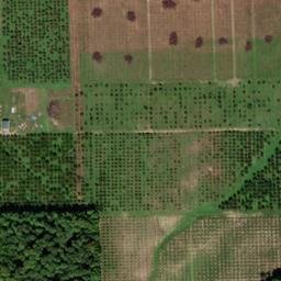 Satellite imagery of Old Mission Peninsula, US