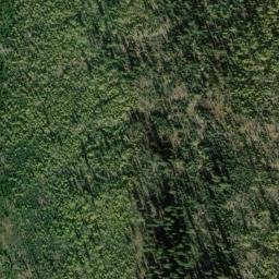 Satellite imagery of Lead Lode Mine, US