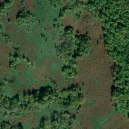 Satellite imagery of Savića Glavica, BA