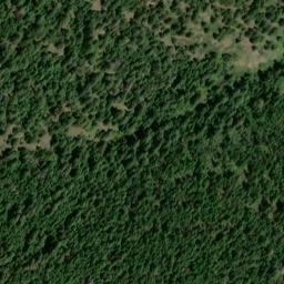 Satellite imagery of Excuse Mine, US