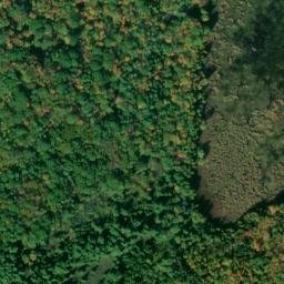 Satellite imagery of Petty's Point, CA