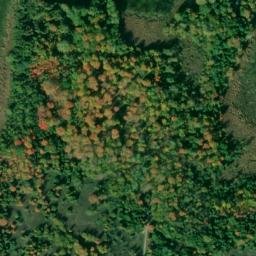 Satellite imagery of Lower Petty's Point, CA