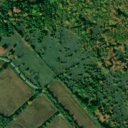 Satellite imagery of Lower Petty's Point, CA