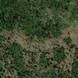 Satellite imagery of Cougar Mine, US