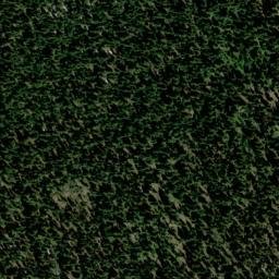 Satellite imagery of Buckhorn Mine, US