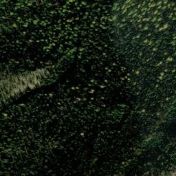 Satellite imagery of South Pole Mine, US