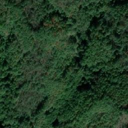 Satellite imagery of Piscul Lupului, RO