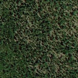 Satellite imagery of Independence Mine, US