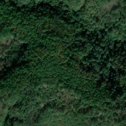 Satellite imagery of Piscul Lupului, RO