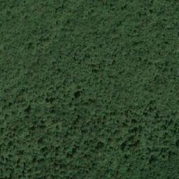 Satellite imagery of Mala Kosa, BA