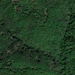 Satellite imagery of Piscul Curătura, RO