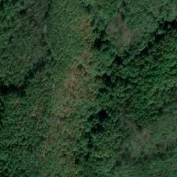 Satellite imagery of Piscul Lupului, RO