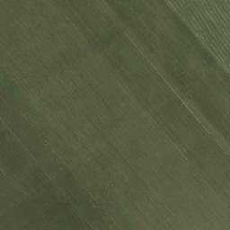 Satellite imagery of Movila Hodorogului, RO