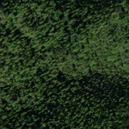 Satellite imagery of Gold Bug Mine, US