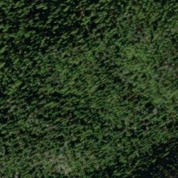 Satellite imagery of Gold Bug Mine, US