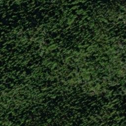 Satellite imagery of Gold Bug Mine, US