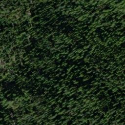 Satellite imagery of Gold Bug Mine, US