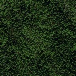 Satellite imagery of Gold Bug Mine, US