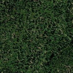 Satellite imagery of Gold Bug-Grizzly Mine, US