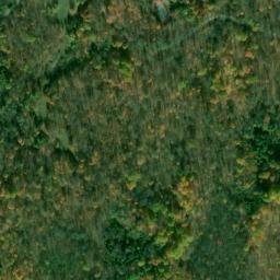 Satellite imagery of Bests Point, CA