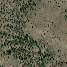 Satellite imagery of Long Point, US
