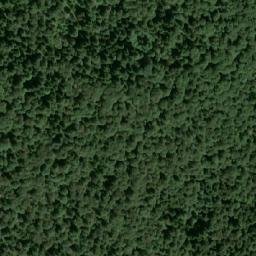 Satellite imagery of Crna Kosa, HR