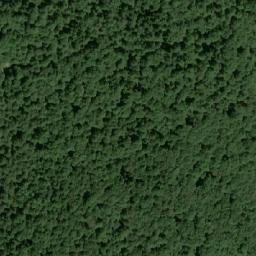 Satellite imagery of Crna Kosa, HR