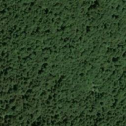 Satellite imagery of Crna Kosa, HR