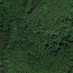 Satellite imagery of Culmea Lupului, RO