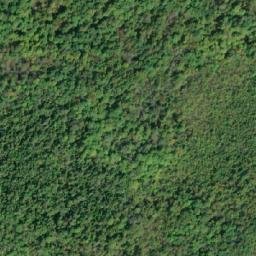 Satellite imagery of Indian Point, CA