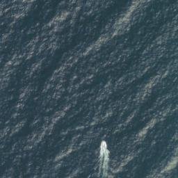 Satellite imagery of Cape Foulweather, US