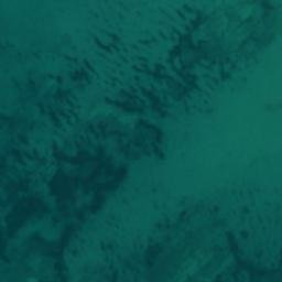 Satellite imagery of Rocky Point, CA