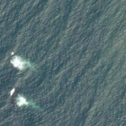 Satellite imagery of Otter Crest, US
