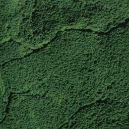 Satellite imagery of Cougar Ridge, US