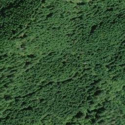 Satellite imagery of Cougar Ridge, US