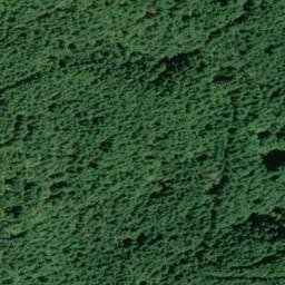 Satellite imagery of Cougar Ridge, US