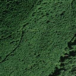 Satellite imagery of Cougar Ridge, US