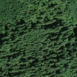 Satellite imagery of Cougar Ridge, US