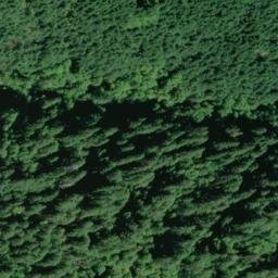 Satellite imagery of Cougar Ridge, US