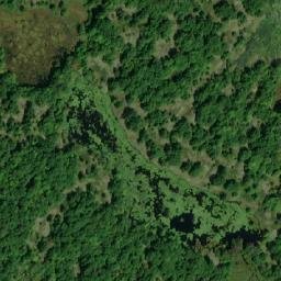 Satellite imagery of Coutlee Point, CA