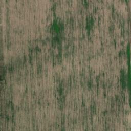 Satellite imagery of Dealul Balgiului, RO