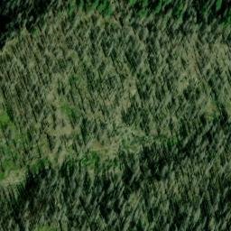 Satellite imagery of Elephant Rock, US