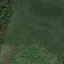 Satellite imagery of Cununa Sconţari, RO