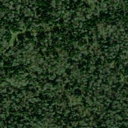 Satellite imagery of Lipska Kosa, BA