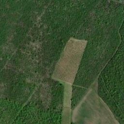 Satellite imagery of Belo Brdo, RS